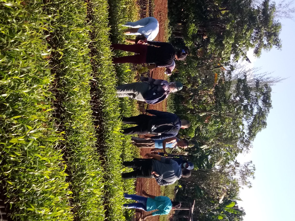Clase Práctica para estudiantes universitarios en la UEB Matanzas