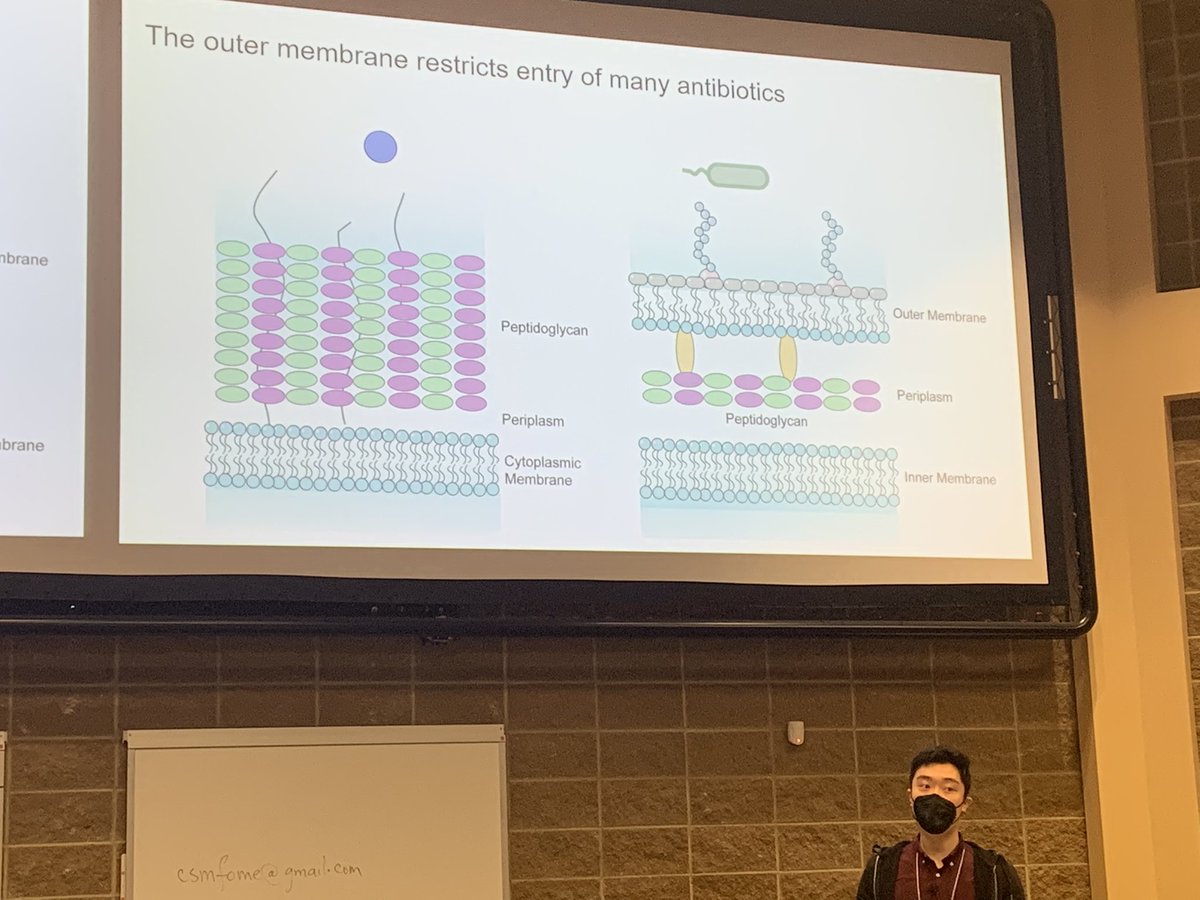 csm_scm2022's tweet photo. @DerekCKChan1 brings to you “Ironing out the mechanisms of antimicrobial uptake by TonB transporters” from the Microbial Transporters session @Dr_Lori_Burrows #CSM_SCM2022 https://t.co/IZyfEKIP0E