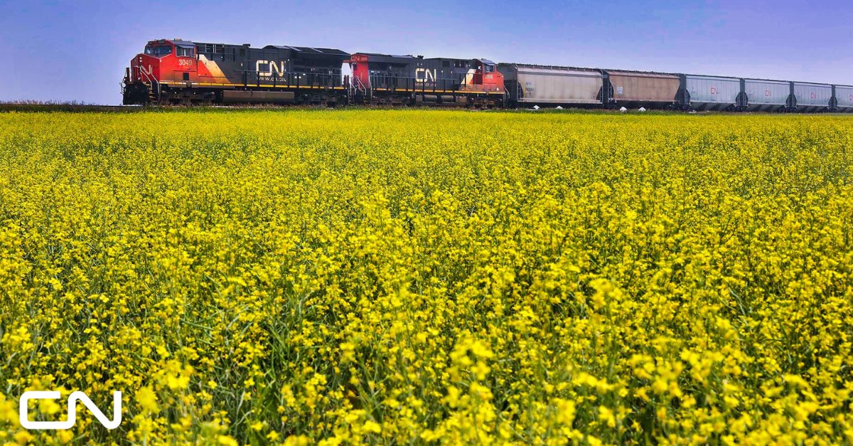 CNRailway's tweet image. CN to Invest $185 Million in Saskatchewan Enabling Sustainable Growth, Improving Capacity and Advancing the Company’s Commitment to Safety
Read more here: cn.ca/en/news/2022/0…