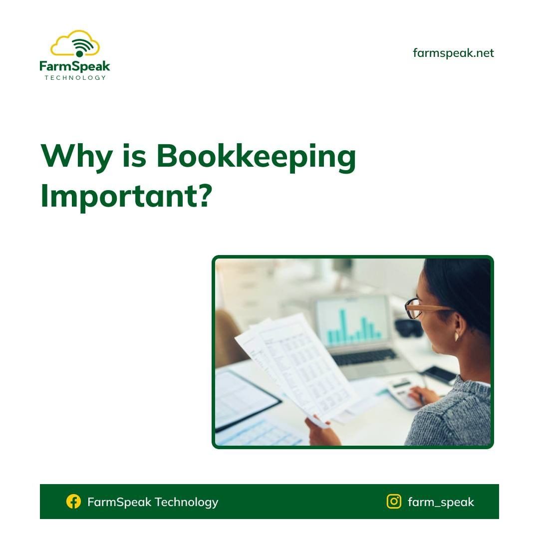 farmspeak1's tweet photo. Here is why Bookkeeping is very important for your poultry farm business

Slide 4 addresses how Bookkeeping helps you concentrate on your business strengths while also addressing its faults.

.
.

.
.
#bookkeepingapp #Bookkeeper #Businessbookkeeping #poultrystress
 #accountingapp https://t.co/ZA6ioj1eZN