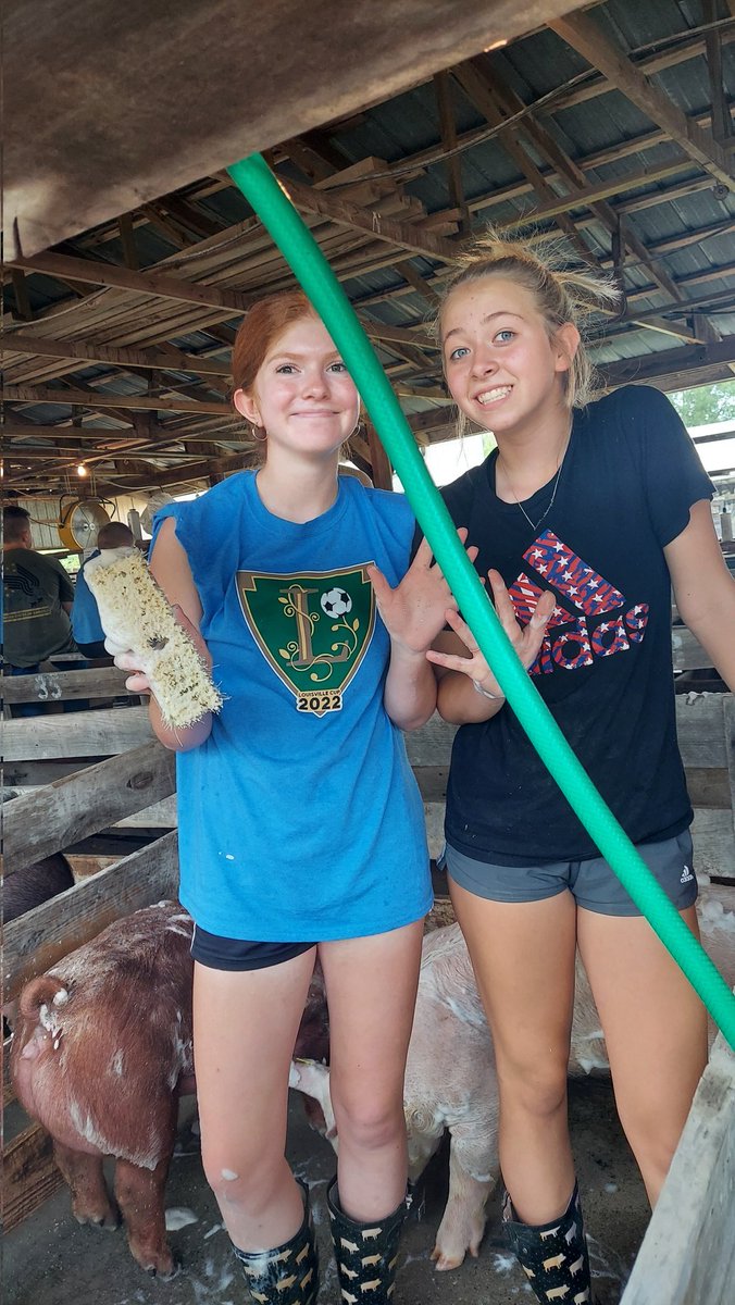 BegleKenzie's tweet photo. We had the 4H fair this weekend.  Had good help with washing my hogs and getting them ready to show #4H #4Hfair #pig #oink #Swineshow https://t.co/DQN2ZcUIYw