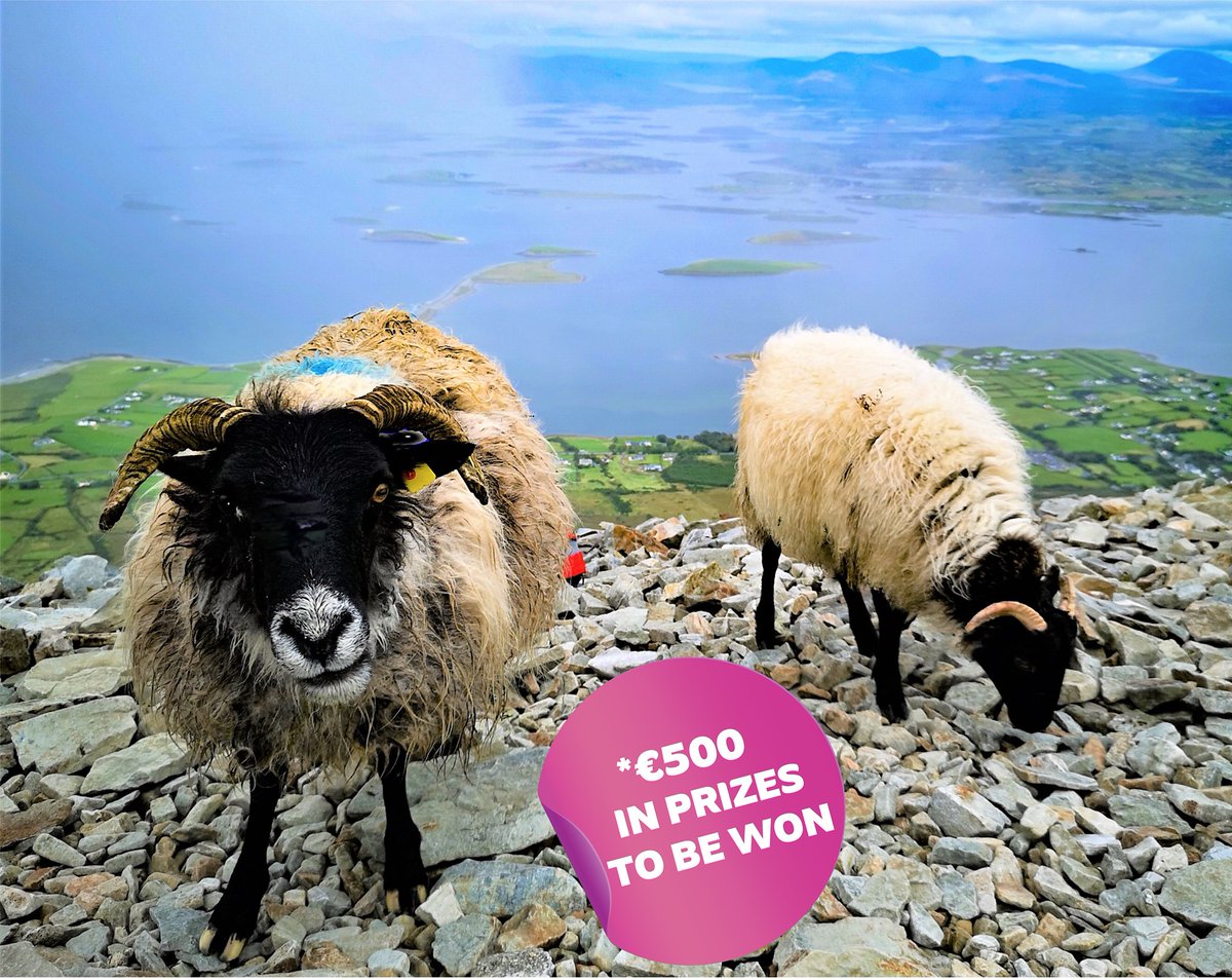 Athenry_CU's tweet photo. Athenry Credit Union Amateur Photography Competition 2022 Now Open https://t.co/0erNhR1i8y https://t.co/qvtUS6zIe4