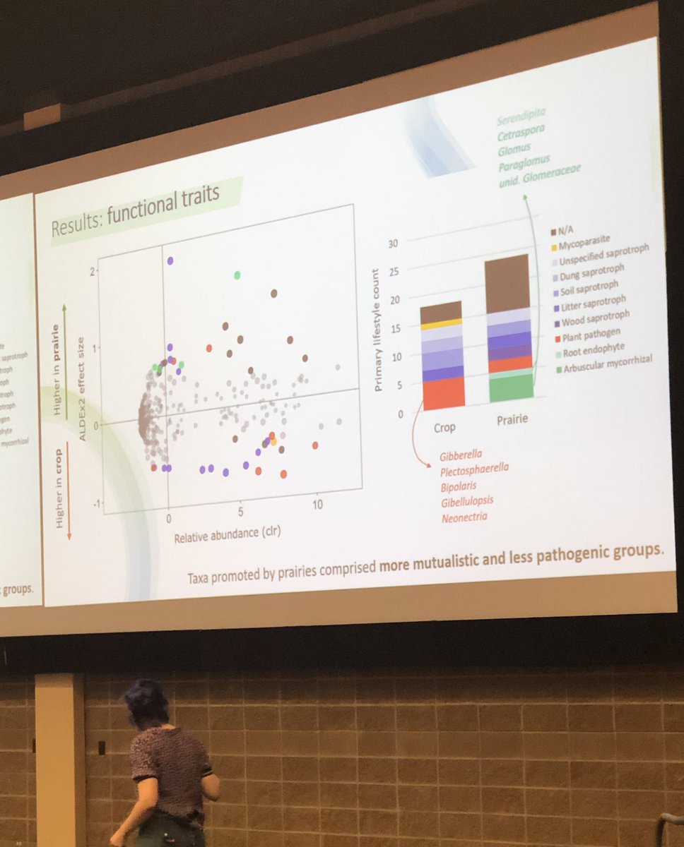 bdaisley's tweet photo. Micaela Tosi from the @karidunfield lab discusses how prairie restoration acts to promote mutualistic #fungal taxa in soil while reducing opportunistic #plant pathogens 🦠🌾 @csm_scm2022 @CSM_SCM @UofG_MCB @uofg https://t.co/QNsleQyzH8