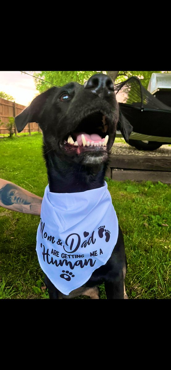 JulbertBri's tweet photo. Someone’s so excited for his new baby brother to come 💙🌀 https://t.co/2rvDnbmKnV