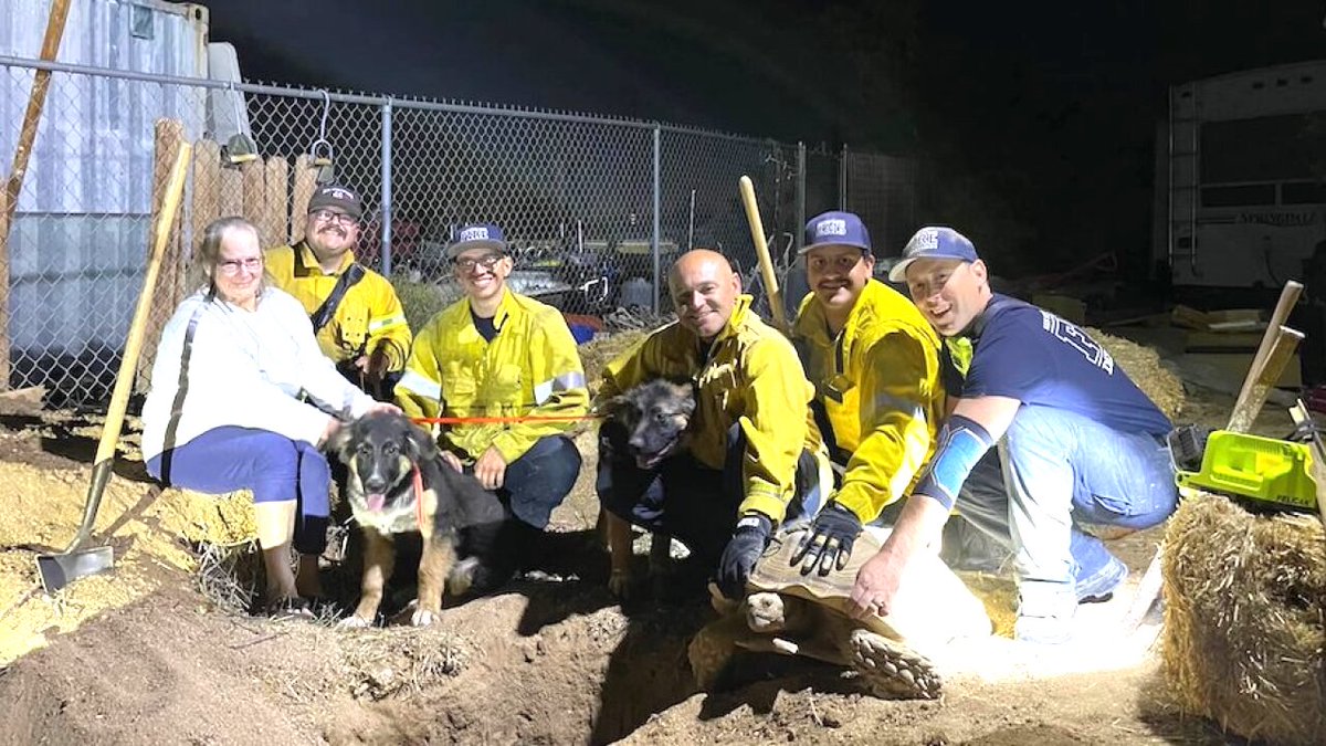 smart_dog_news's tweet photo. #DogNews: California #firefighters rescue #puppies trapped in #tortoise den. 
Read more: https://t.co/XDVoUPxs6M
.
#RescueDogs #AnimalLovers #doglove #curiousguys #California #FireCrews #Outstanding #Thankful https://t.co/3C8AflAJvW