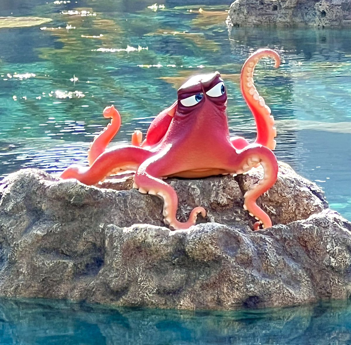 NickMassacre's tweet photo. Breaking News: Finding Nemo submarine voyage will reopen July 25 The walls have been removed and the lagoon is now visible! https://t.co/fe2OG2Xc7X