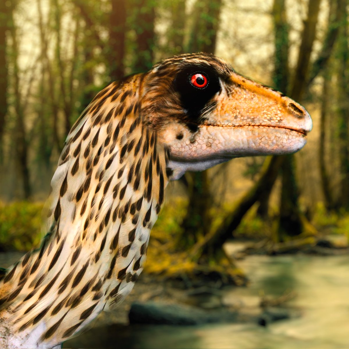 PaleoLogica's tweet image. Caminando con #Utharaptor

#prehistoricplanet #walkingwithdinosaurs #jurassicpark #jurassicworld #dinosaurart #paleontology #palaeoart #dinosaur #dinosaurs #dino #dinosaurio #dinosaurios #jurassicworlddominion #trex #paleoarte #3dart #photoshop #birdsofprey