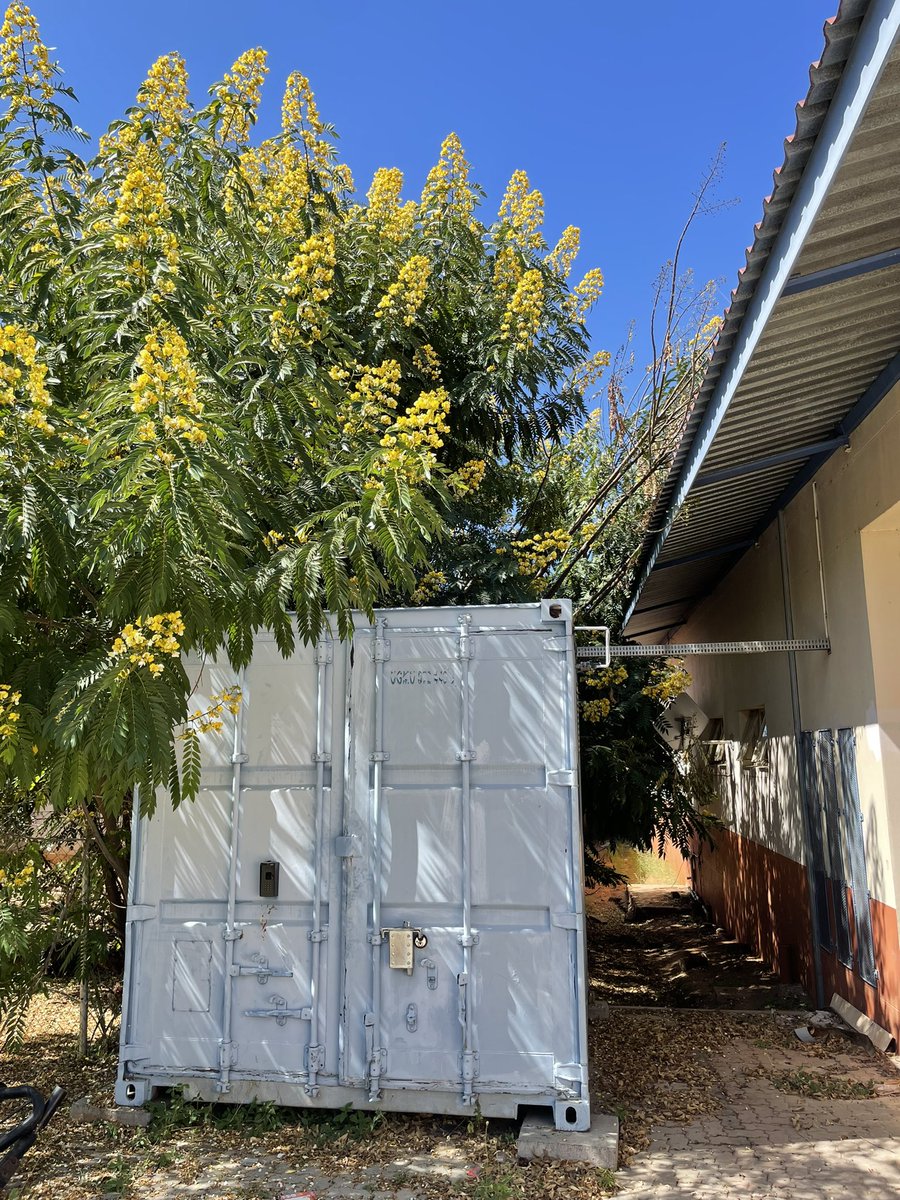 AndrewLJohnston's tweet photo. @BRING_O2 @UNITAID @PIH @Stop_Pneumonia @pivotmadagascar @BuildHealthIntl Agreed! #Oxygen is beautiful. #BuildHealthInternational #Namibia https://t.co/pOT16a7Fqb