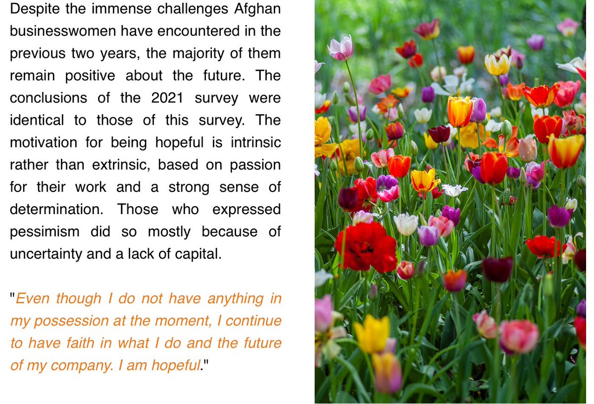 AFG4Inclusion's tweet photo. Hope springs eternal...

"Even though I do not have anything in my possession at the moment, I continue to have faith in what I do and the future of my company. I am hopeful." https://t.co/mJhvPzq0sG