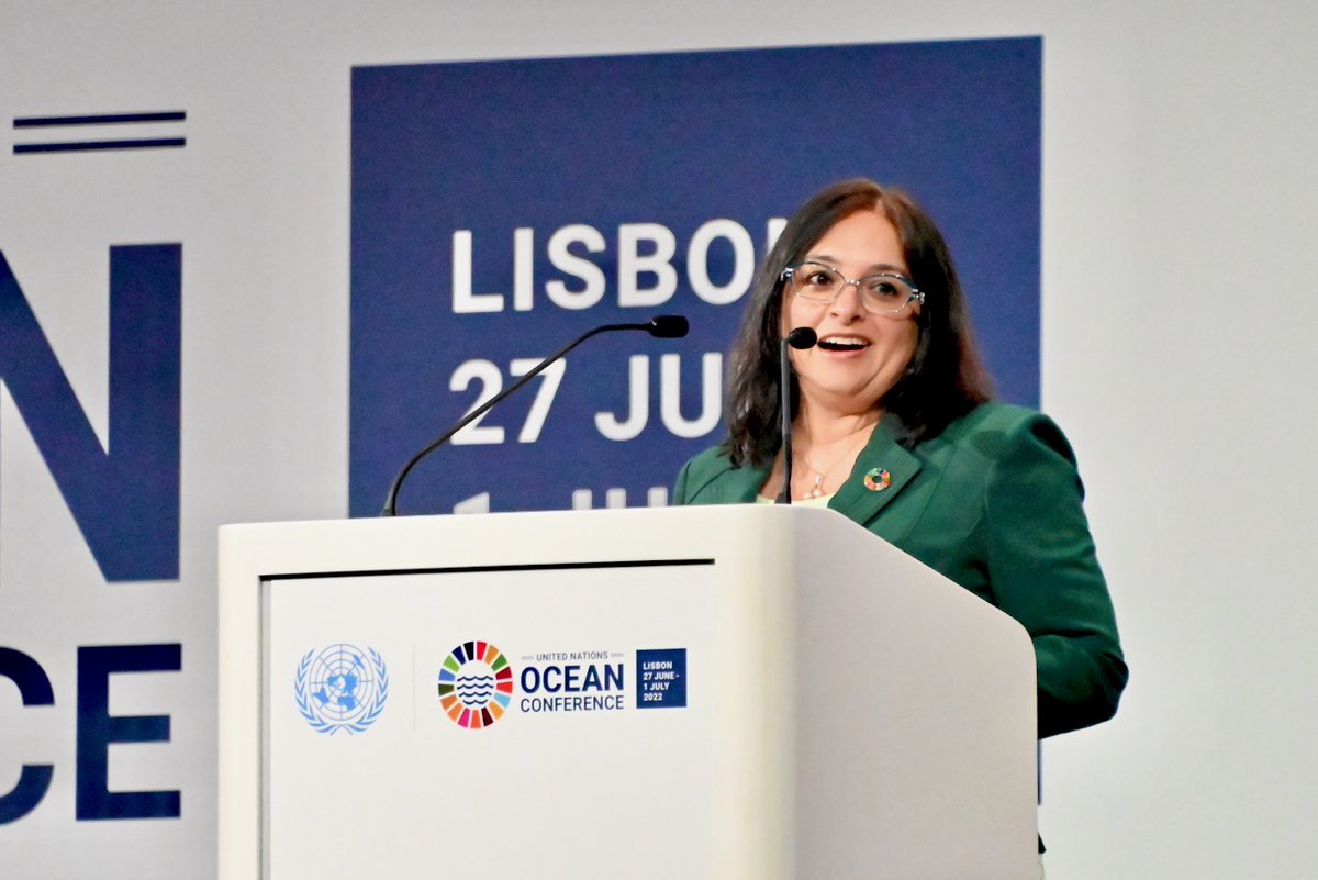 SMTPSF's tweet photo. SOI Director announces breaking news from @SchmidtOcean during #UNOceanSummit on a new collaboration w/ @NatGeo to amplify voices of underrepresented scientists and storytellers! @UNOceanDecade @GlobalGoalsUN https://t.co/mRSovePRoI https://t.co/m52IwiUJbH