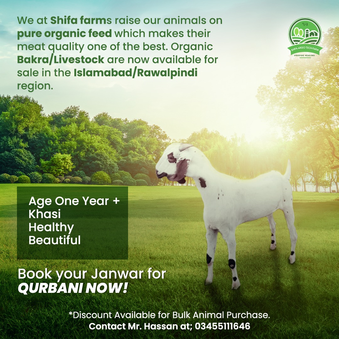 FarmsShifa's tweet photo. Call us and book your animal now. 
#eidaladha2022 #EidAladha #GOAT𓃵 https://t.co/ewlYQGRHyd