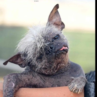 wbj3rd's tweet image. #NewProfilePic