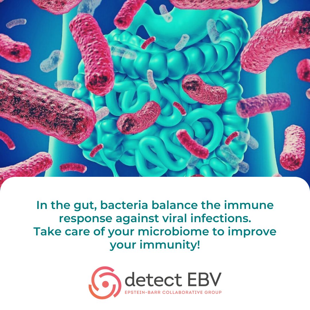 DetectEbv's tweet photo. #EpsteinBarrVirus (#EBV) is considered as a common component of the human commensal microbiome due to its spread worldwide in about 95% of the adult population.
Take care of your microbiome to improve your immunity!
#DetectEBV #Microbiome https://t.co/ZUUN1USZLc