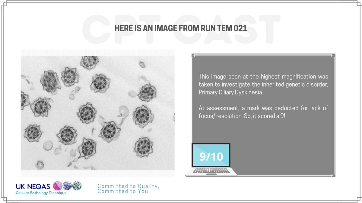 ukneqascpt's tweet image. 9/10, what a score! Do you agree? 👍

#cptcast #ukneqastemscheme #cptassessment