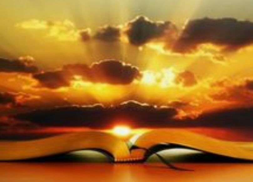 Ein Träumer ist jemand, der seinen Weg im Mondlicht findet und die Morgendämmerung vor den Rest der Welt sieht (O. Wilde)

Vergesst nie, ihr könnt nur Träume wahr werden lassen, wenn ihr einen Traum habt.