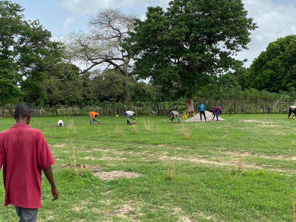WomenInLiberat1's tweet photo. We are excited to share the progress we are making with the #SintetCommunityGarden.
It’s so pleasing to see how #Youth across the different clusters of Sintet have come together to support this work.
#PeaceBuilding
#SocialCohesion
#Memorialisation
🙏 @ATJLF_ https://t.co/5eWLknbMLU