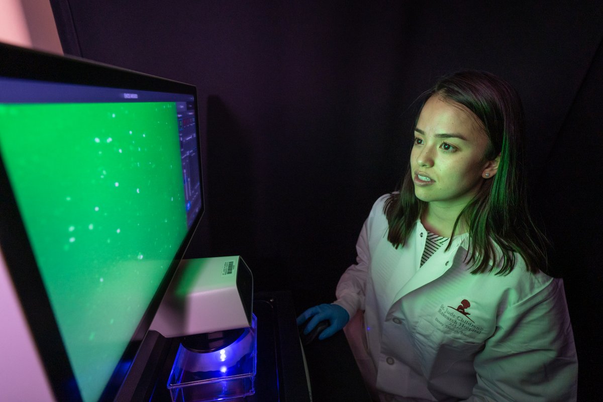 The only known cure for sickle cell disease is bone marrow transplantation. In 1983, St. Jude doctors were the first to make that discovery. Join the next generation of investigators who will discover cures and advance research. ow.ly/FUfa50IPeER