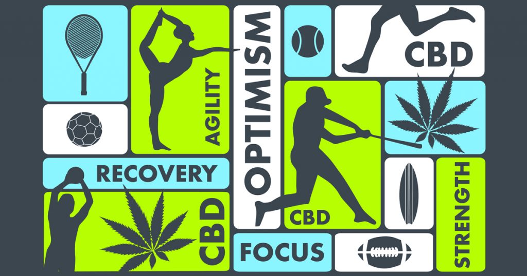 Joe Favorito tweet media