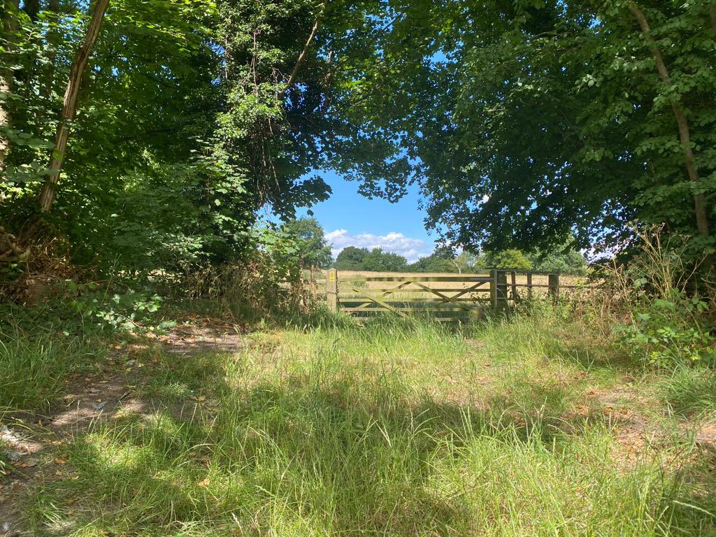 WiPUK's tweet photo. More great pics from #StepIntoSummer TeamNatExec #blueskies #summerdays @StrideTreglown @S_Weatherall @WiseLivingHomes https://t.co/iBlSVaNvCg