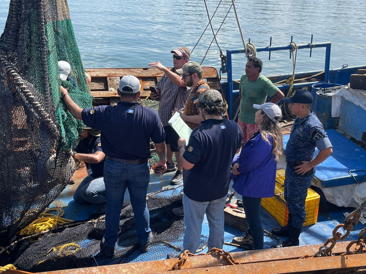 MagaGuatemala's tweet photo. La actividad se desarrolló en las costas del Pacífico e incluyó inspecciones coordinadas con #DIPESCA, como un esfuerzo conjunto para evitar la mortalidad incidental de tortugas durante las faenas de pesca. A estas acciones también se sumó el Comando Naval del Pacífico. https://t.co/NuB3m7b4zf