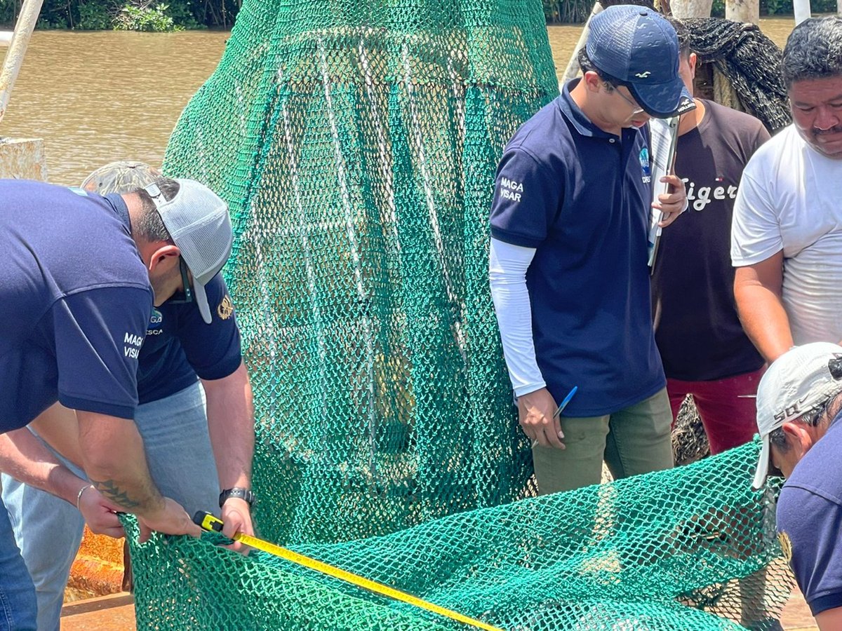 MagaGuatemala's tweet photo. La actividad se desarrolló en las costas del Pacífico e incluyó inspecciones coordinadas con #DIPESCA, como un esfuerzo conjunto para evitar la mortalidad incidental de tortugas durante las faenas de pesca. A estas acciones también se sumó el Comando Naval del Pacífico. https://t.co/NuB3m7b4zf