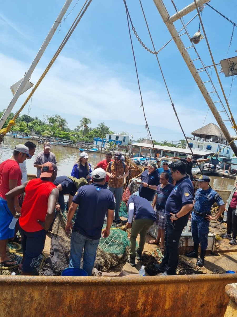 MagaGuatemala's tweet photo. La actividad se desarrolló en las costas del Pacífico e incluyó inspecciones coordinadas con #DIPESCA, como un esfuerzo conjunto para evitar la mortalidad incidental de tortugas durante las faenas de pesca. A estas acciones también se sumó el Comando Naval del Pacífico. https://t.co/NuB3m7b4zf