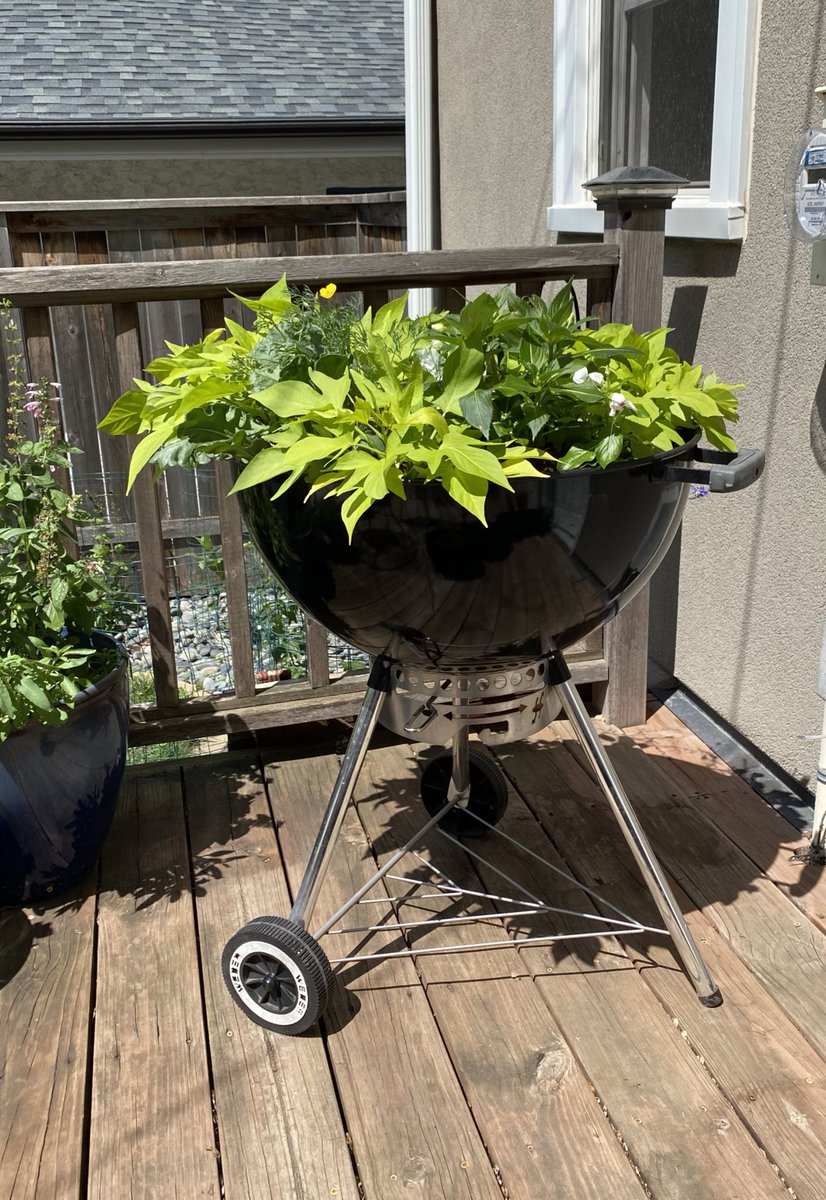Hey <a href="/WeberGrills/">Weber Grills</a> I finally found a use for your old grills.