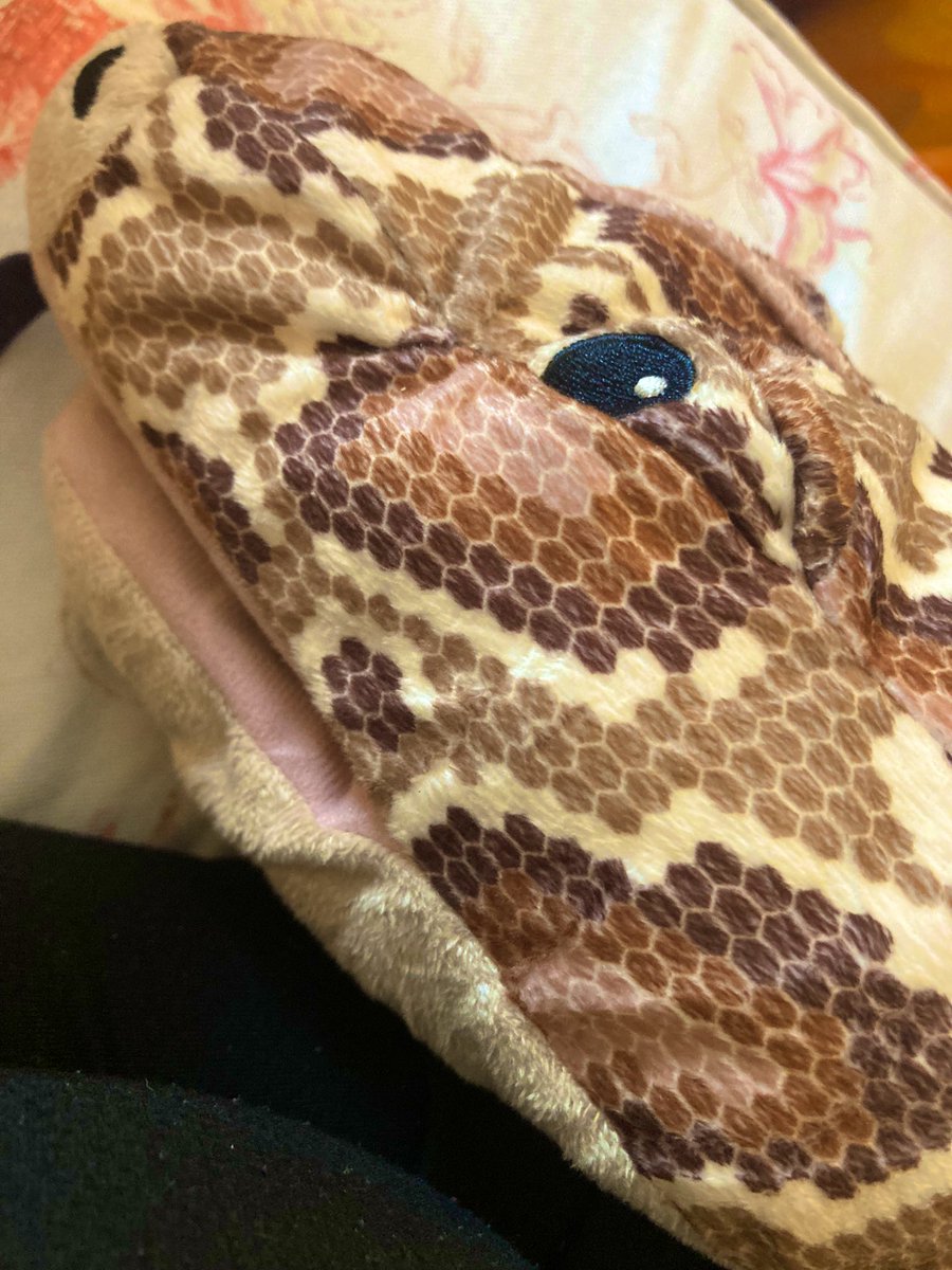 FakeEscapeTC's tweet photo. Justin the snake wondering if he will be let through customs as he will technically be a snake on a plane 🐍 ✈️ … we will see ourselves out 👍😂 #savingbritney #jokes #snakesonaplane #NewYork https://t.co/MvY2JdzMlw