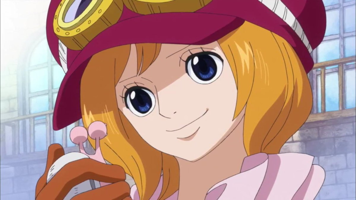 Daily Koala tweet media