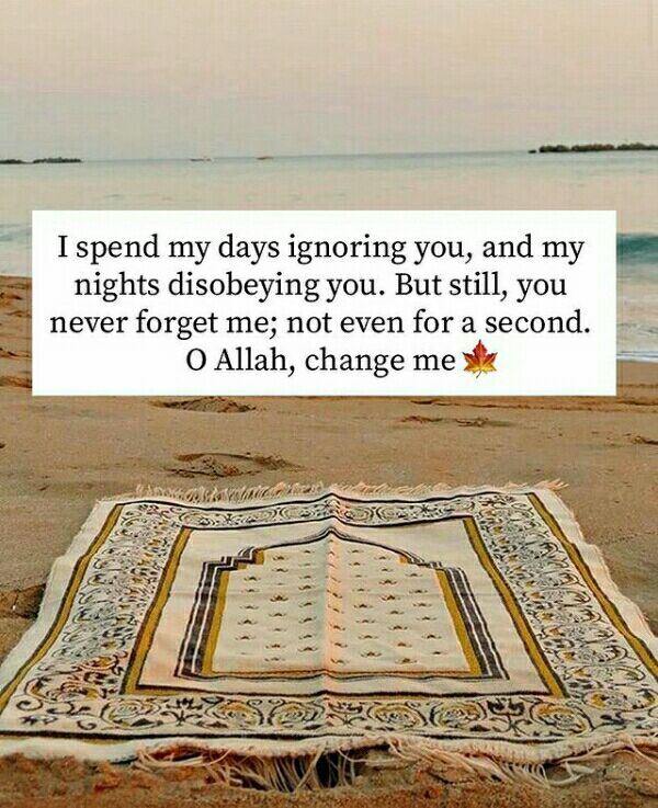 RoShZiMu's tweet photo. @MuslimsMatters https://t.co/z85C9vPa1D