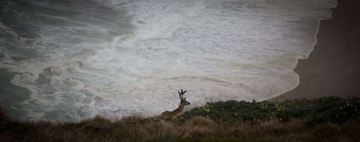 By discovering nature, you discover yourself.  -Maxime Lagacé #inspiration
