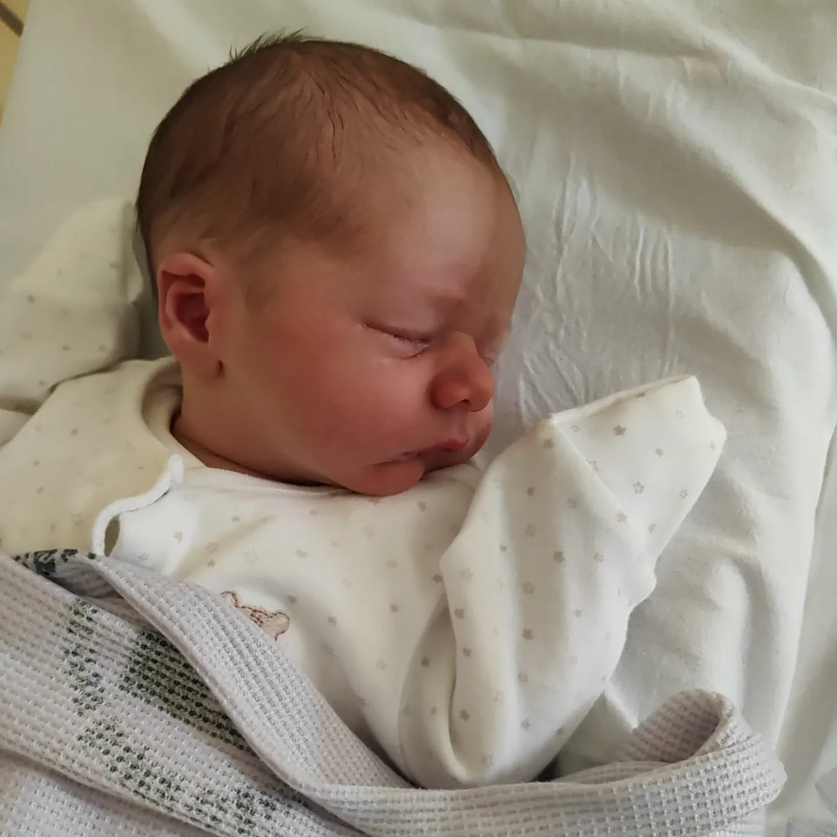 Claire Graham tweet media