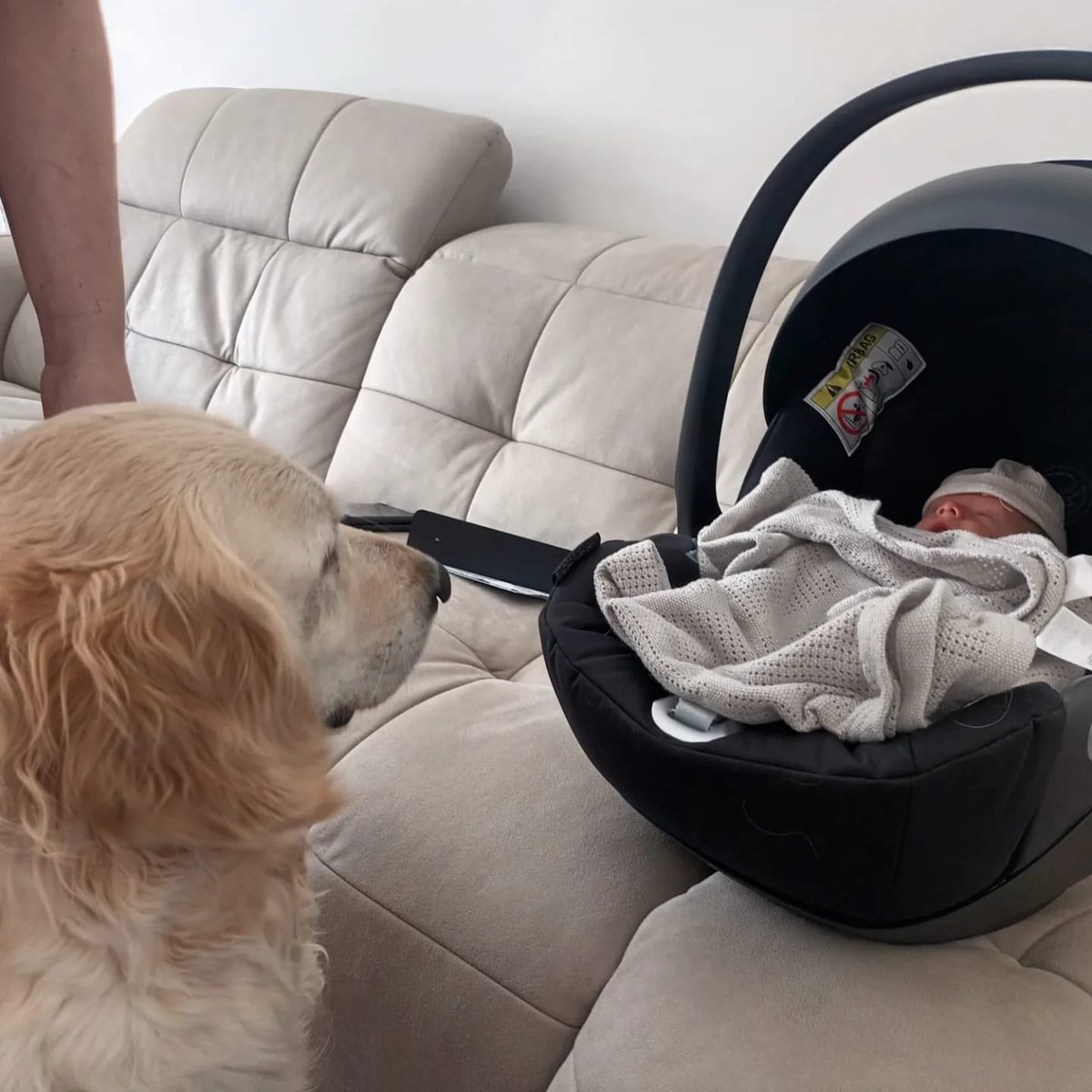 Claire Graham tweet media