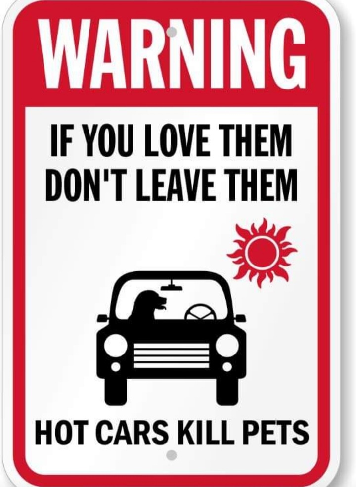Northernish1's tweet photo. Reminder. A window open is not enough. #dogsdieinhotcars #leavedogsathome @RSPCA_official @RSPCA_Frontline @DogsTrust @DogsTrust_IE @ChrisGPackham @dotslondon @dog_rates @Dogs_Today @DeborahMeaden @rickygervais @stationmoggy @AllotmentCat @Number10cat @AlysonMeadowcr1 https://t.co/gFql3XEmKS