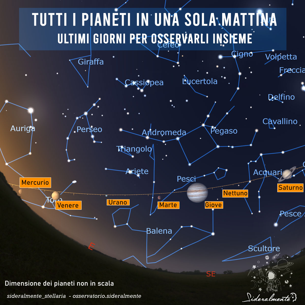 astroperinaldo's tweet photo. Ultime mattine per tentare l'osservazione di tutti i pianeti del Sistema Solare! 🤩🪐
L'unico a scomparire a breve sarà il piccolo Mercurio, che "ricadrà" in zone di cielo troppo prossime al Sole per risultare osservabile. > https://t.co/O63jXotUb9