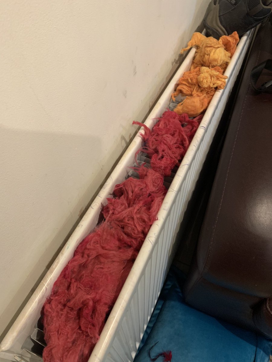 Irishflysup's tweet photo. Drying kapok https://t.co/cQwjg8XCsS