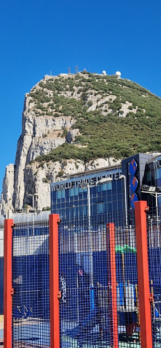We are proudly taking part in a charity futsal tournament in aid of #prostatecancergibraltar! Gibro's one of two mixed teams this year! Great event <a href="/gibfsc/">Gibraltar FSC</a> #FreeTheKnee #FTK2022 #Gibraltar