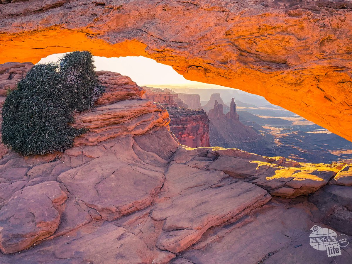 wander_filled's tweet photo. After we left Dinosaur National Monument, we headed south to Moab to spend some time experiencing the red rock desert in the summer. (Our last trip was in the winter.) Our first stop? Canyonlands National Park for Mesa Arch!
#FindYourPark #VisitUtah #discovermoab #moab https://t.co/CqO22yEa8R