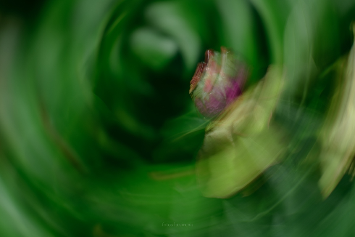 fotoslasirena's tweet photo. maelstorm i & ii
first image is single #ICM and second image is in-camera #MultipleExposure using #IntentionalCamera Movement
#abstractphotography #abstract #ICMphotomag https://t.co/X03IPmwT2H