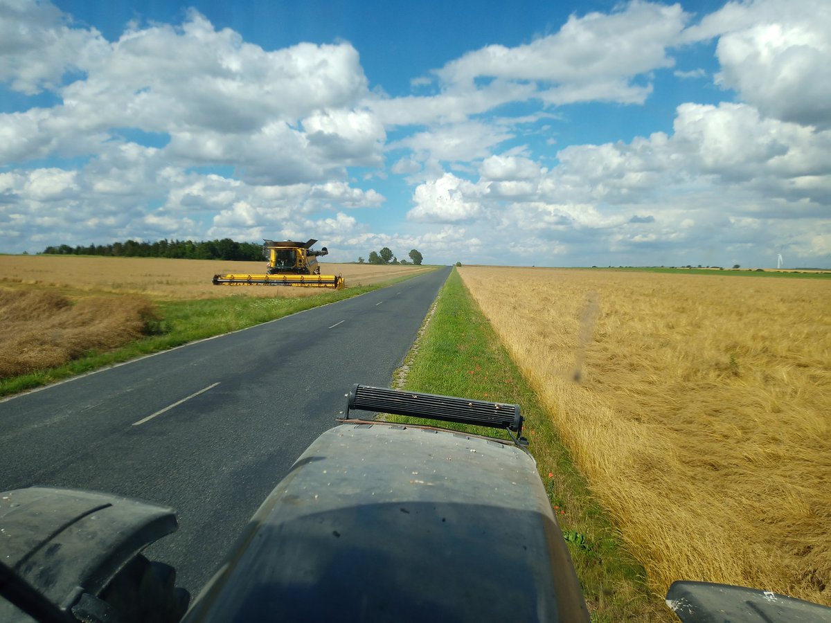 Dufour_agri's tweet photo. #moisson22 début récolte fétuque. De la graine pour faire du gazon. Stockage sur des grilles microperforées avec une faible épaisseur uniforme. Des gros ventilateurs envois de l'air pour chasser l'humidité et empêcher de chauffer. En 1 nuit, ce tas peut s'enflammer tout seul https://t.co/oUw8kswPrk