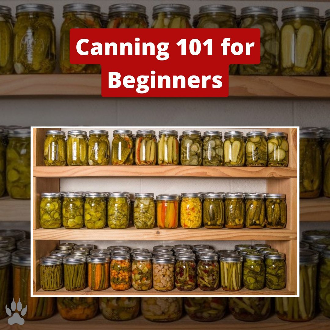 Defiel2's tweet photo. Here is the beginner's guide to canning: https://t.co/vXC1FjWqks https://t.co/IIU8spNnVA