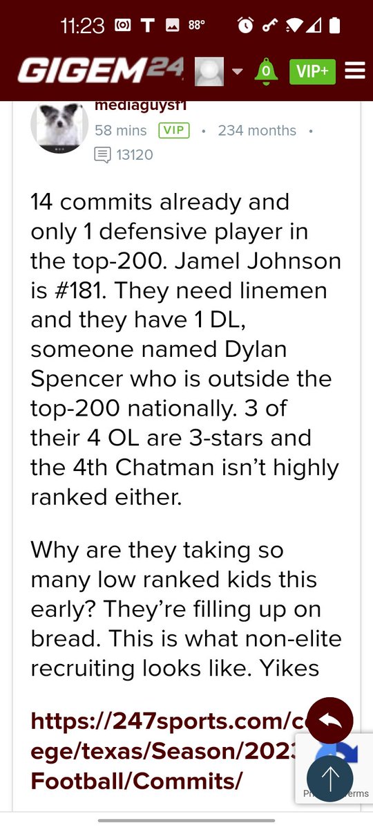 FWRbvuvUcAEj5th?format=jpg&name=medium