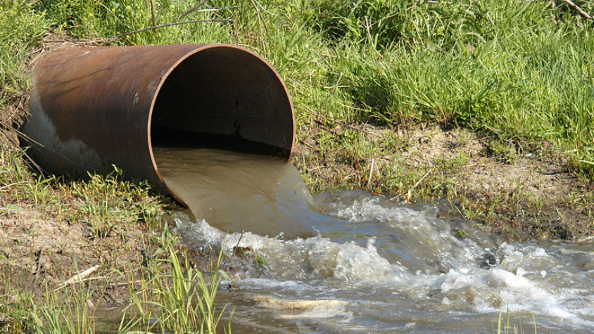 CMO_England's tweet photo. Keeping human faeces out of the waterways people use recreationally is a key public health intervention.

Water companies can and should act on sewage and effluent discharge.

We lay out why and how below.

https://t.co/IOsMinkHjA https://t.co/JixdmvGQaj