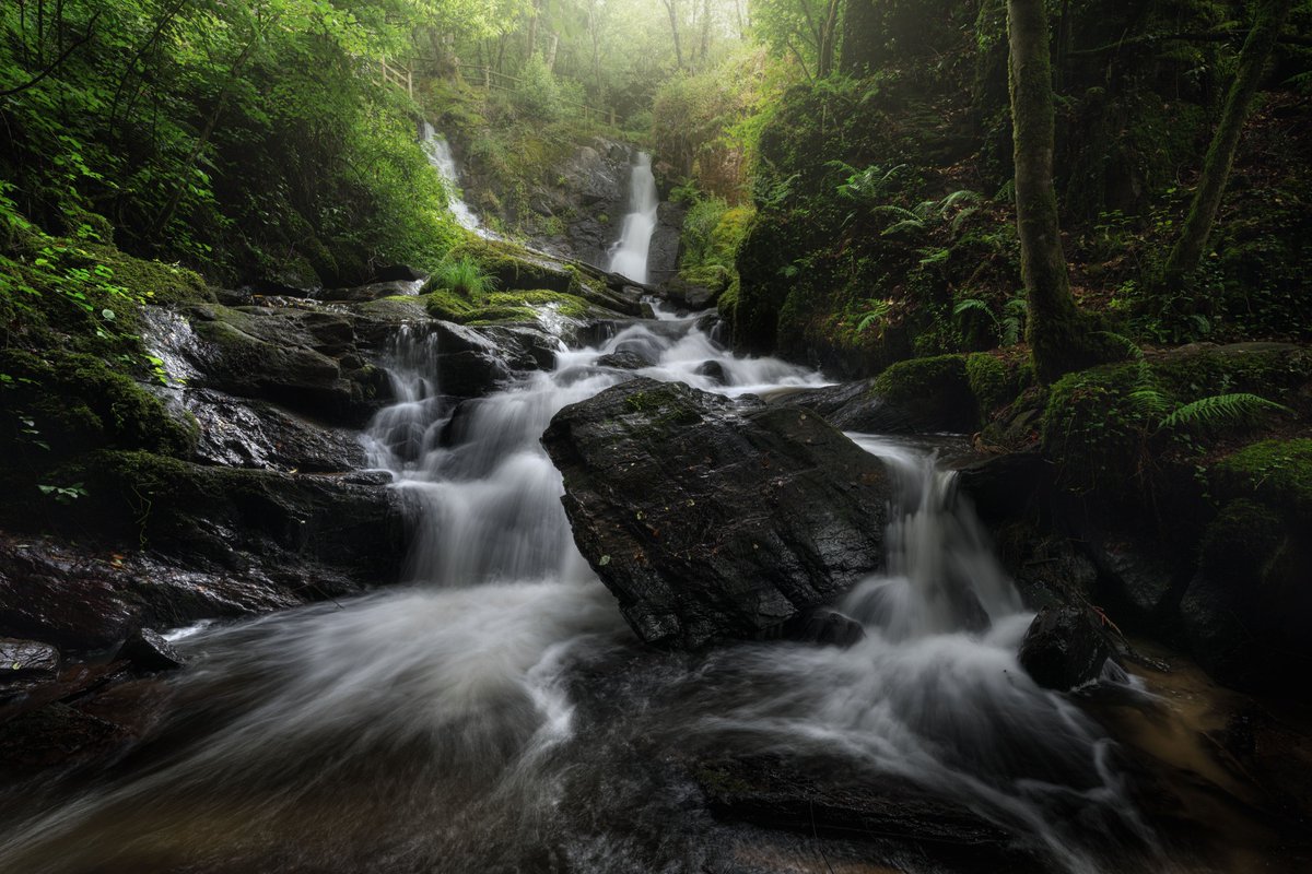 chamallex's tweet photo. the magic of the woods...the magic of life!!
#landscapephotography #NaturePhotography #waterfall #FoundationNFT #foundationapp #outdoors #watercolor #River https://t.co/q4ynnvifqe