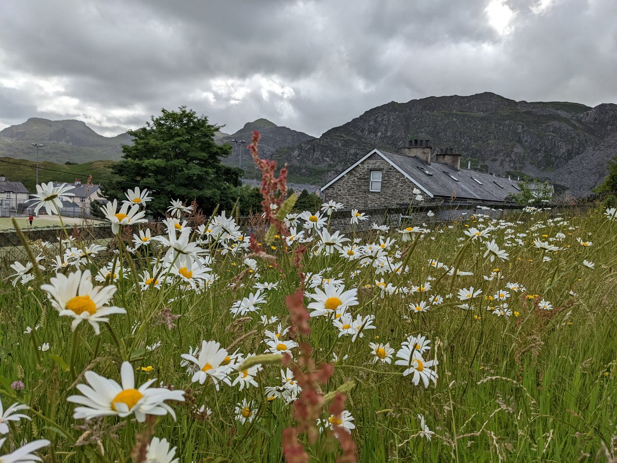 We're ready for the last session of our first Community Assembly on the Climate in Bro Ffestiniog this evening 👏🌱

#ClimateAction #CommunityAssembly