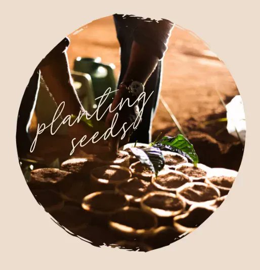 thrivefarmers's tweet photo. Planting Seeds
.
To address the root cause of generational poverty in the coffee industry, we plant seeds. By bringing our farmer partners to market and providing the tools and guidance to utilize them, @ThriveFarmers unique model promotes generational wealth for years to come. https://t.co/xEsitNsaiK