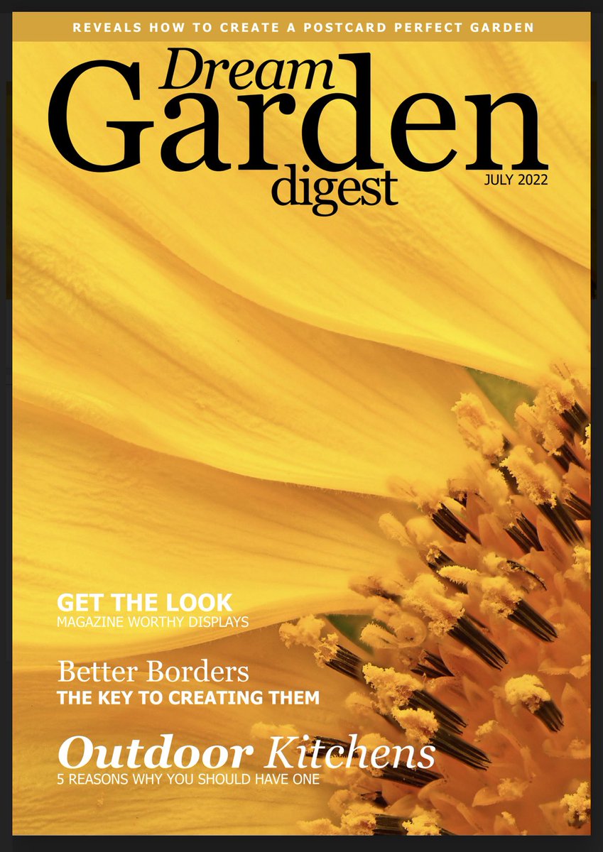 Scott Taylor tweet media