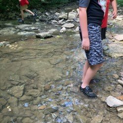 NashvilleMWS's tweet photo. Why do we do what we do? So kids like these at @leadershipacademyllc Camp Twigs can play in clean streams, find and release crawdads, and learn to love nature! https://t.co/hC7PMTyQy2