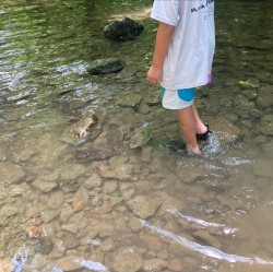 NashvilleMWS's tweet photo. Why do we do what we do? So kids like these at @leadershipacademyllc Camp Twigs can play in clean streams, find and release crawdads, and learn to love nature! https://t.co/hC7PMTyQy2
