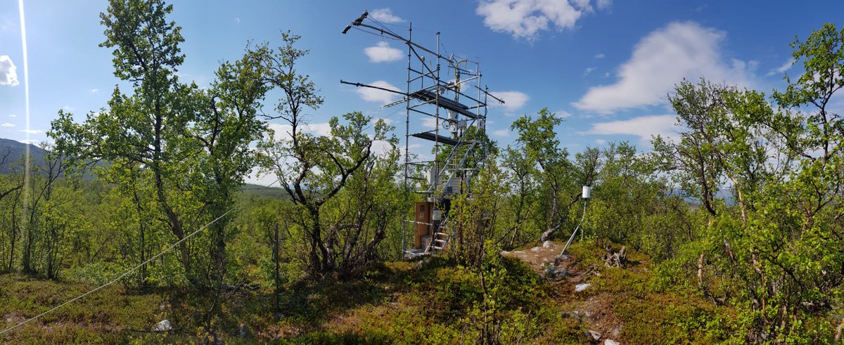 JRieksta's tweet photo. Behind the scenes of our #fieldwork #birchforestVOCs in #Stordalen, #Abisko. We measure ecosystem fluxes of #VOCs, C02, H20 using @ionicon  #PTRTOFMS and #eddycovariance 
@Riikka_Rinnan @atzukac @JiaoyiJoey @DFF_raad @UCPH_Research 1/n https://t.co/XP3zEzJVB7